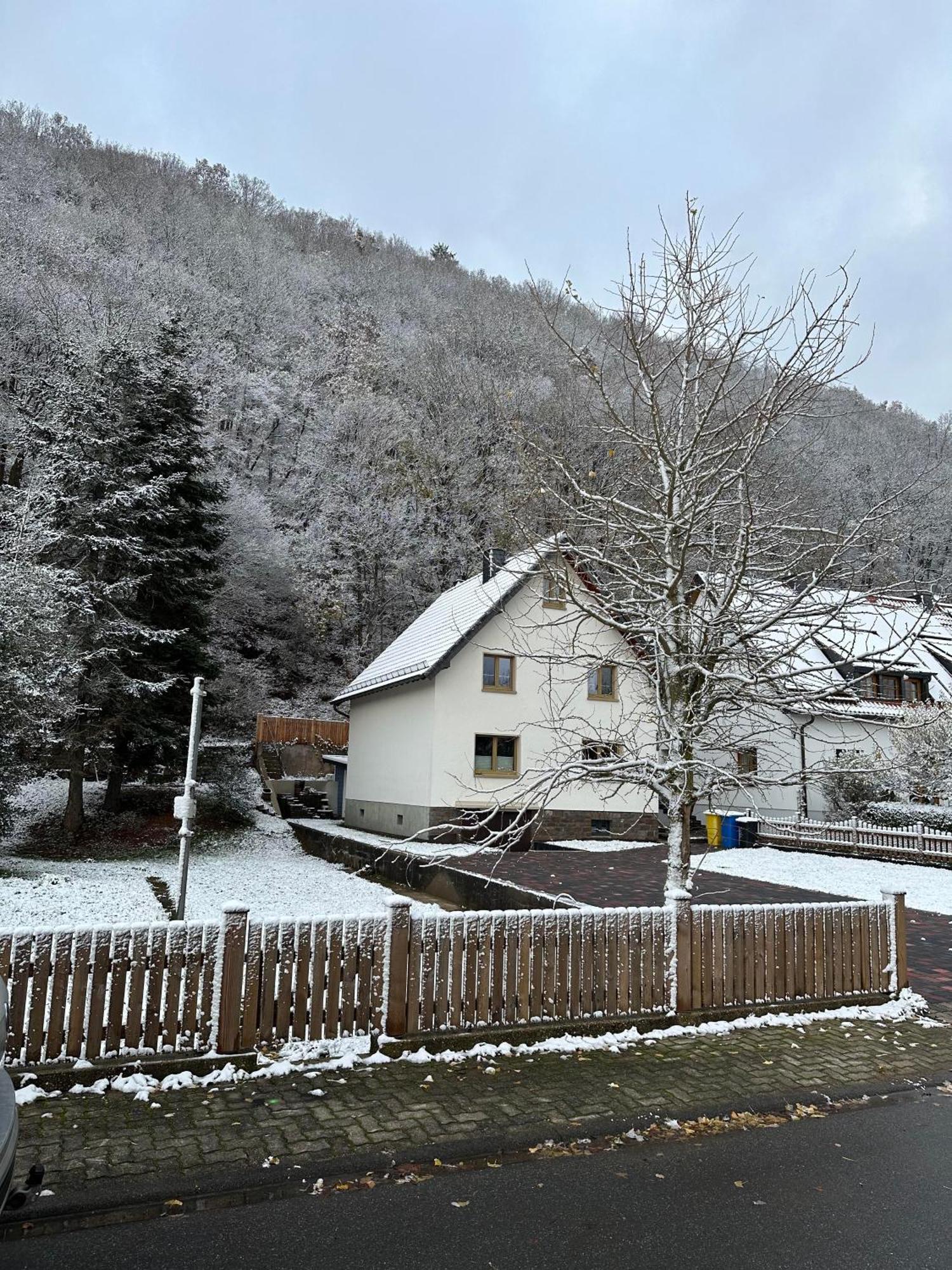 Ferienhaus Ginkgo Biloba Malsbenden ภายนอก รูปภาพ