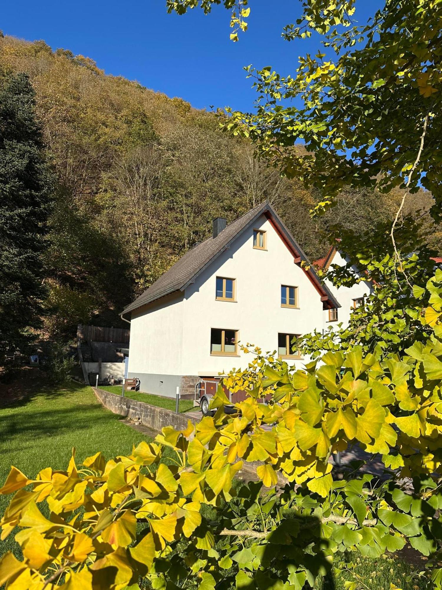 Ferienhaus Ginkgo Biloba Malsbenden ภายนอก รูปภาพ