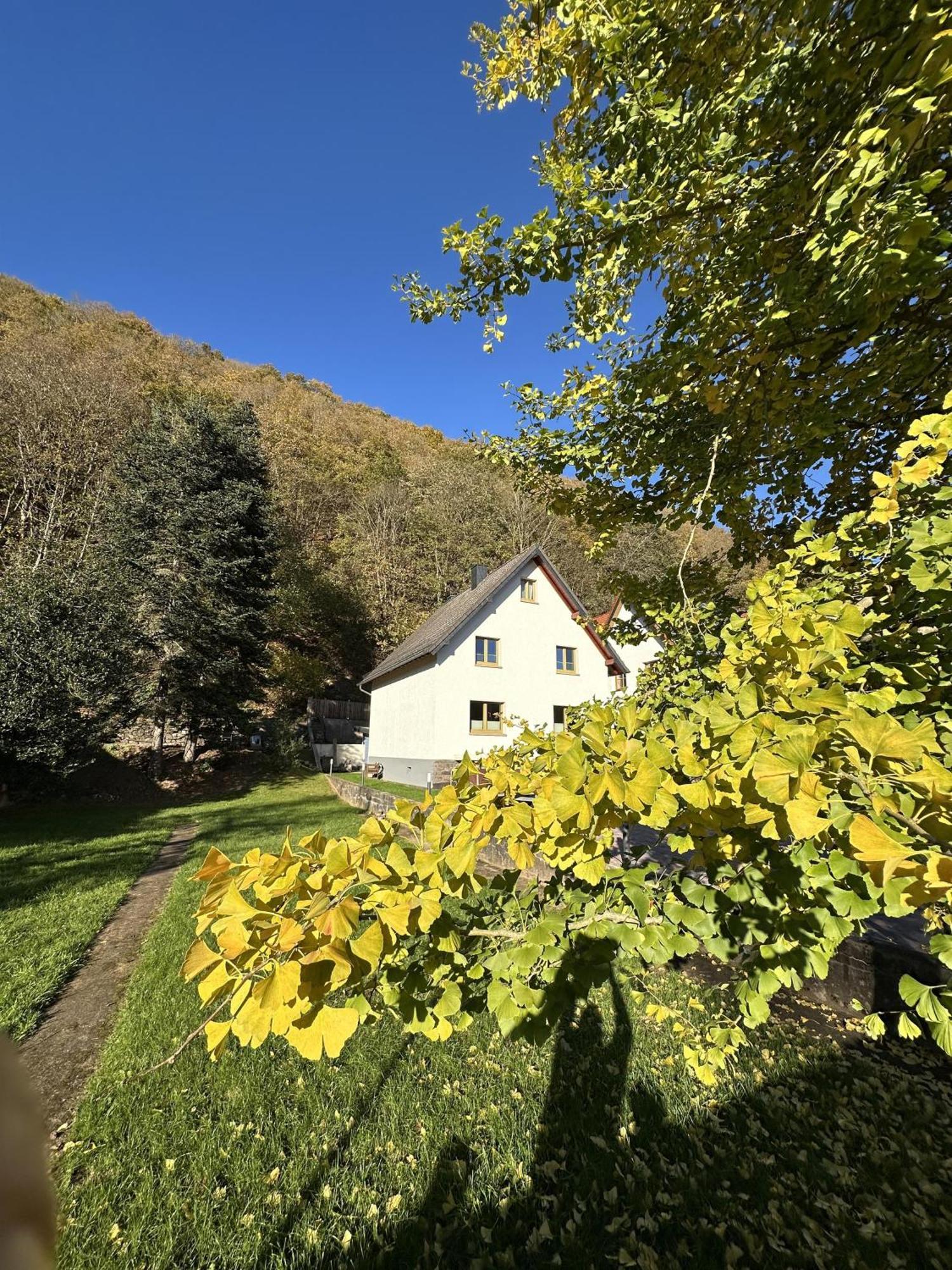 Ferienhaus Ginkgo Biloba Malsbenden ภายนอก รูปภาพ